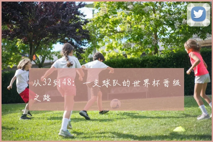 从32到48：一支球队的世界杯晋级之路
