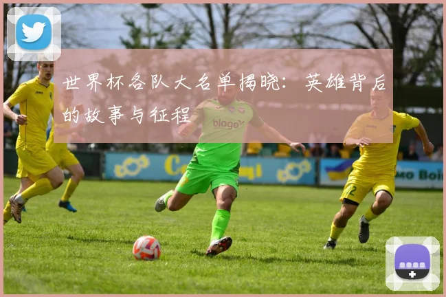 世界杯各队大名单揭晓：英雄背后的故事与征程
