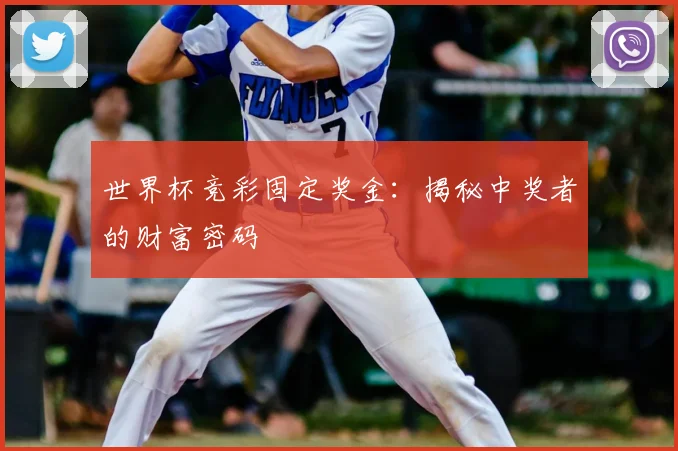 世界杯竞彩固定奖金：揭秘中奖者的财富密码