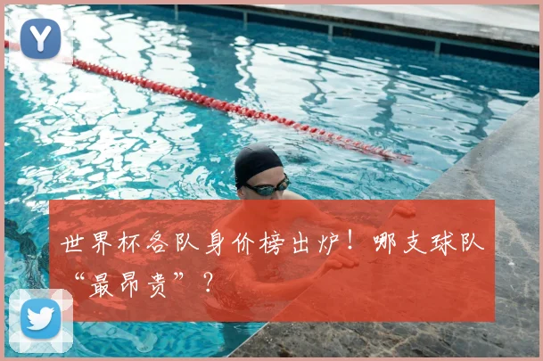 世界杯各队身价榜出炉！哪支球队“最昂贵”？